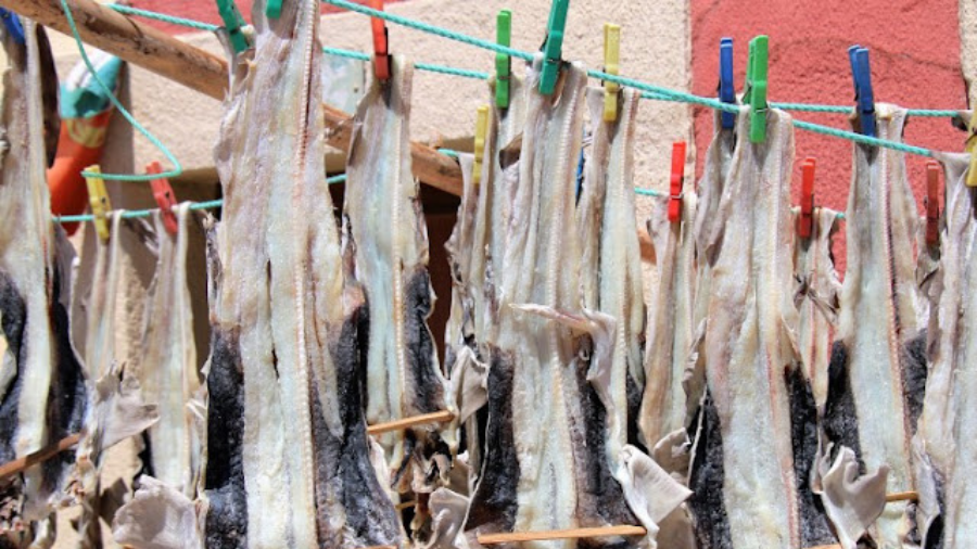 Peixe Seco